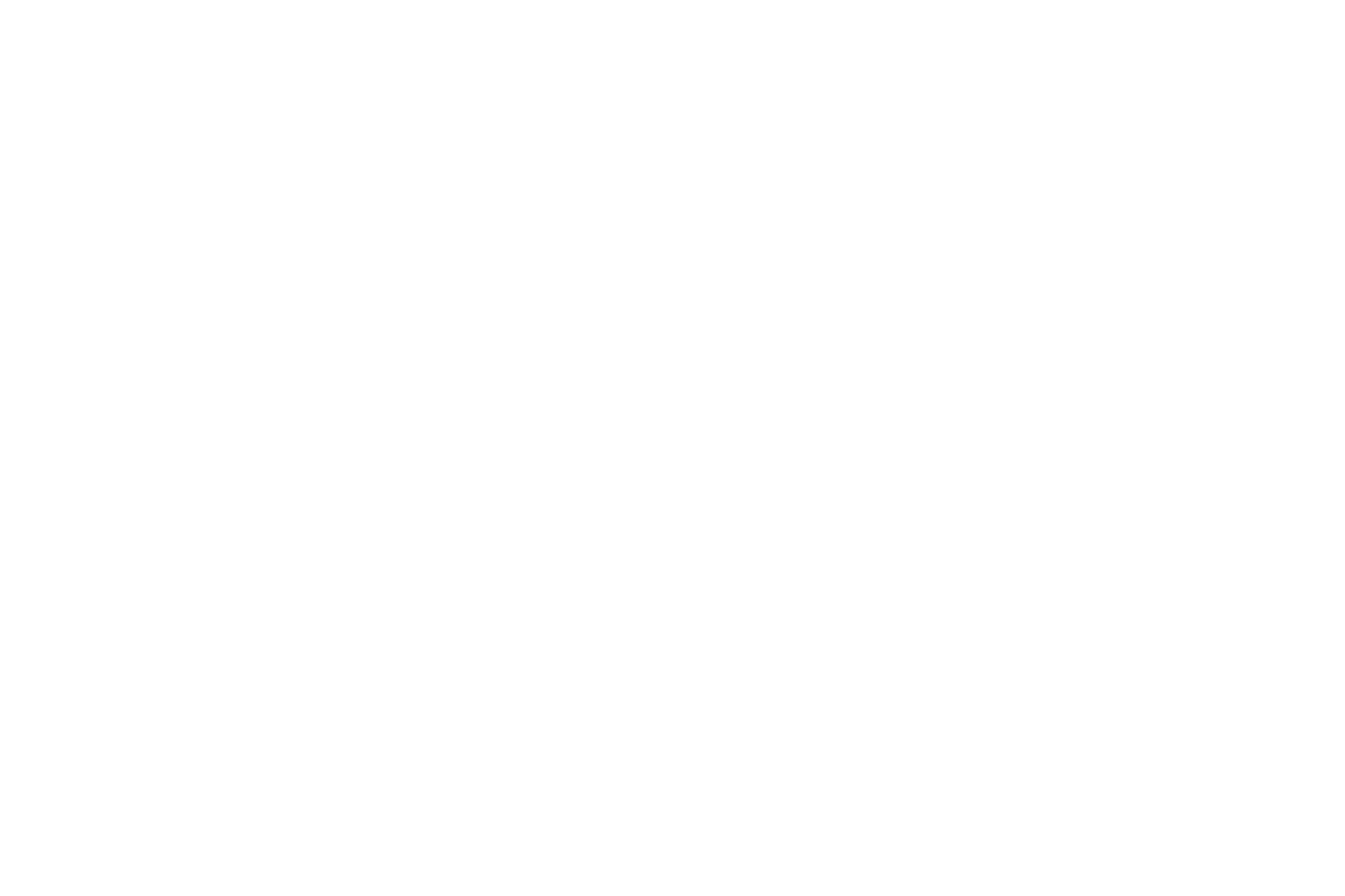DubaiVizeAl Logo