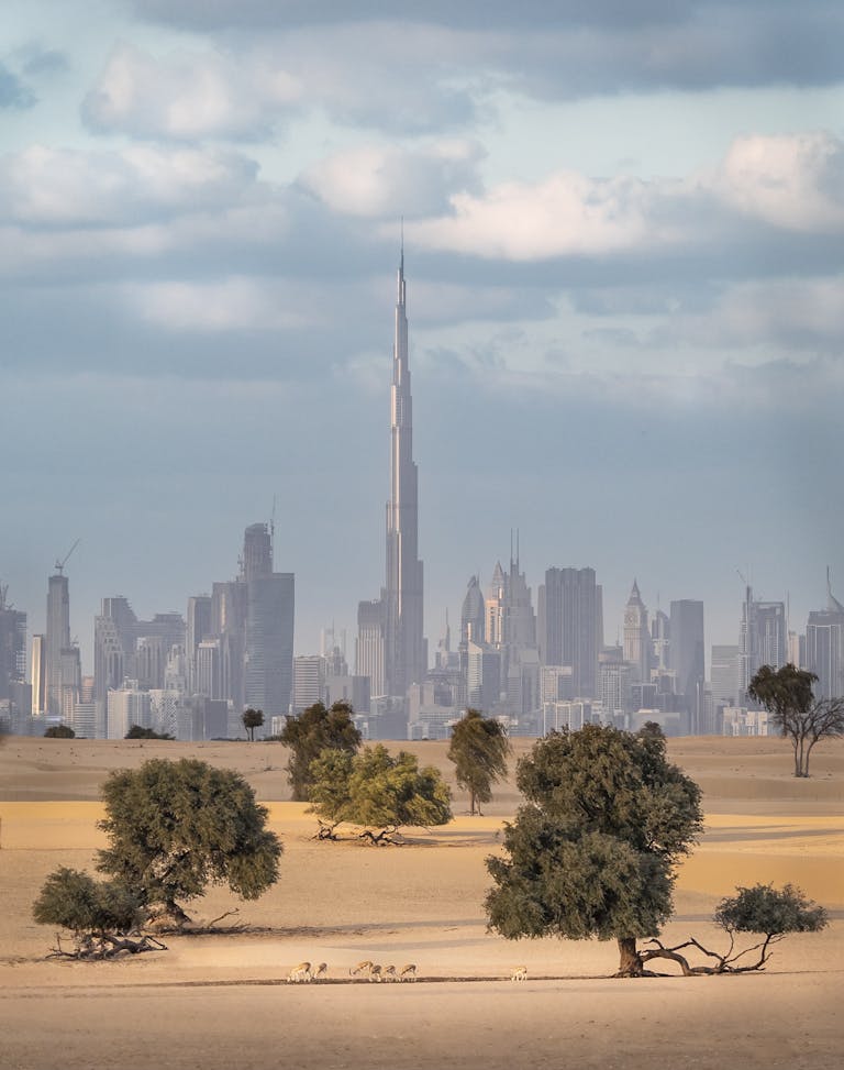 Dubai Vizesi Abu Dabi ve Şarja’da Geçerli mi?