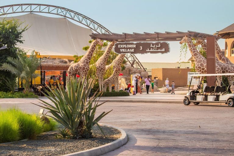 Dubai Safari Park Yeniden Açıldı!