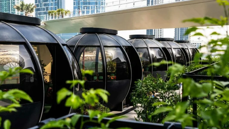 The Pods Dubai Restoranı Özel Kabinlerde Lüks ve Mahremiyet Deneyimi
