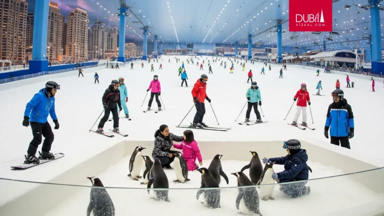 Dubai'de Kayak Keyfi Kar, Eğlence ve Penguenlerle Tanışın